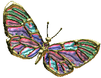 butterfly2.gif (10915 bytes)