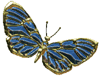 butterfly8.gif (9551 bytes)