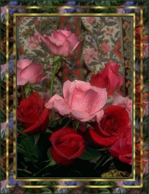flower06-pinkandredroses.jpg (33757 bytes)