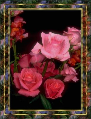 flower08-pinkandredroses3.jpg (29742 bytes)
