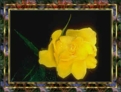 flower09-yellowrose.jpg (24229 bytes)