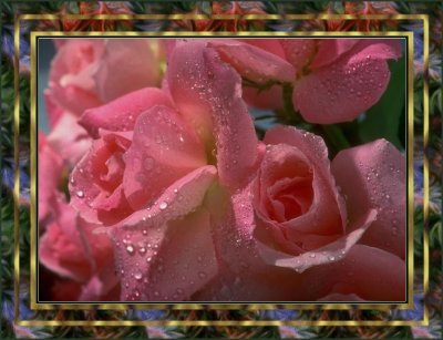 flower10-pinkroses.jpg (30876 bytes)