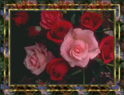 flower12-pinkroses.jpg (28305 bytes)