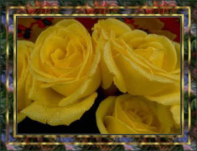 flower13-yellowroses.jpg (29918 bytes)